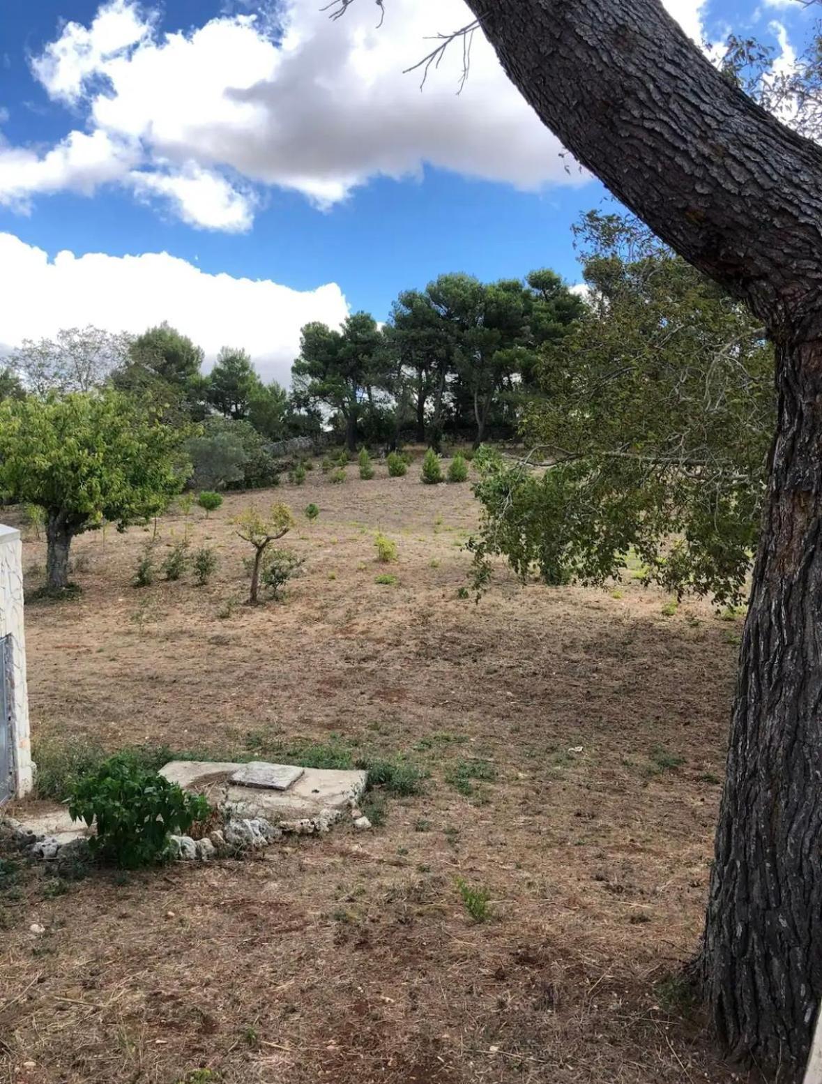 Willa Il Trullo Dg Martina Franca Zewnętrze zdjęcie